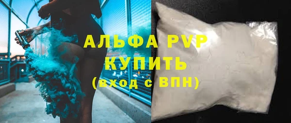 индика Алексин