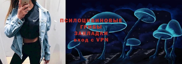 спиды Алексеевка