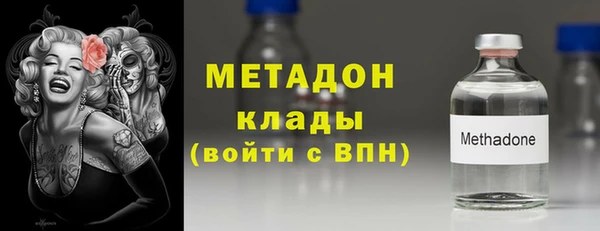 индика Алексин