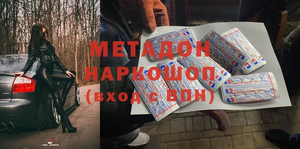 индика Алексин