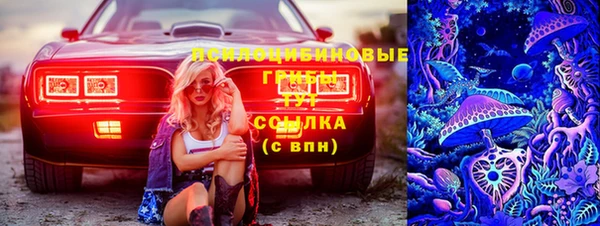 спиды Алексеевка