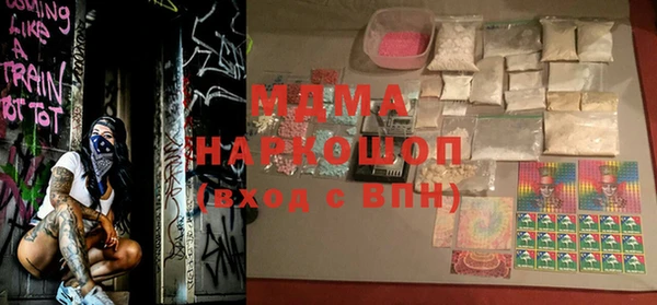 индика Алексин