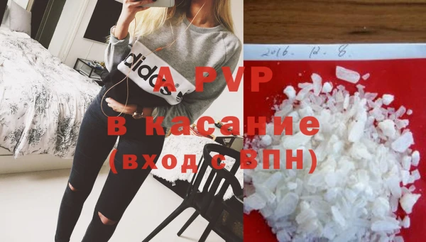 индика Алексин